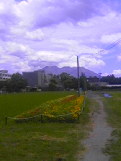 携帯からの投稿テスト